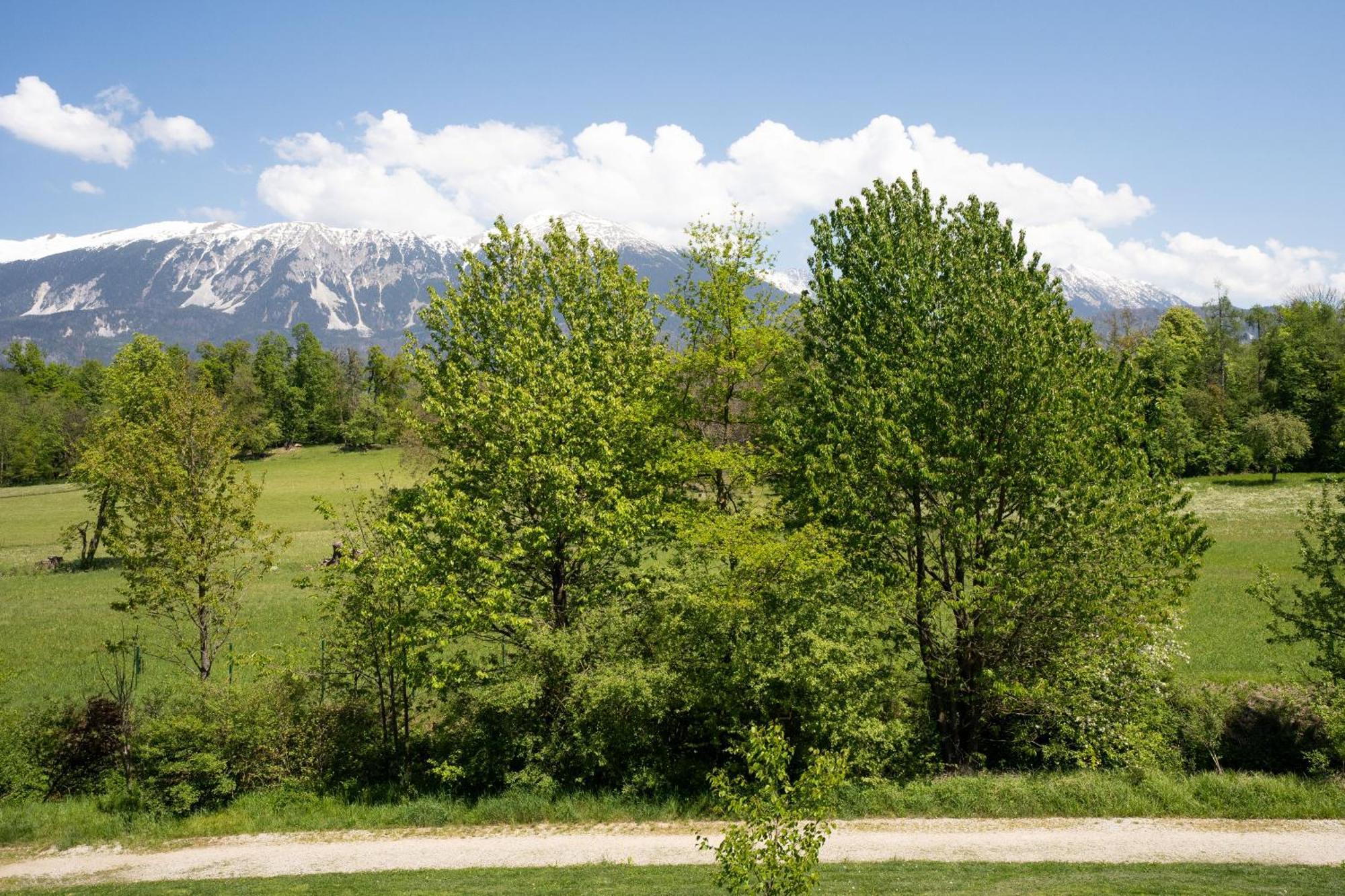 Mountain Suite Jula Bled Exteriér fotografie